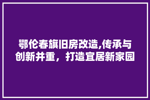 鄂伦春旗旧房改造,传承与创新并重，打造宜居新家园