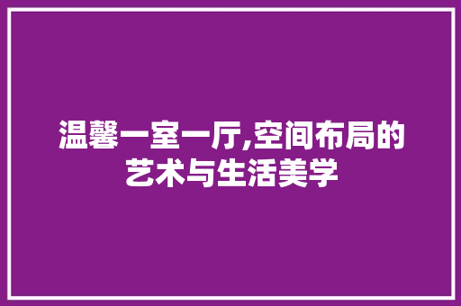 温馨一室一厅,空间布局的艺术与生活美学