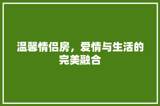 温馨情侣房，爱情与生活的完美融合