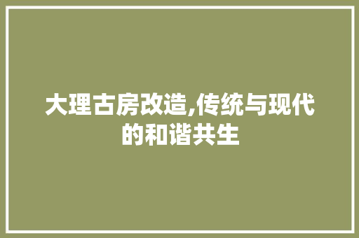 大理古房改造,传统与现代的和谐共生