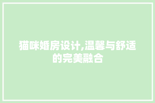 猫咪婚房设计,温馨与舒适的完美融合