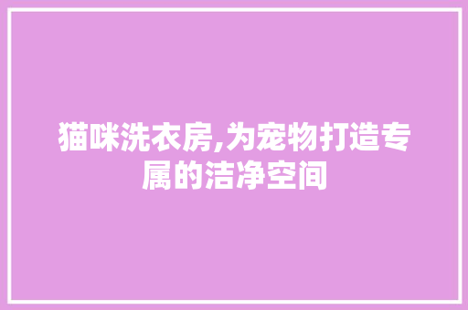 猫咪洗衣房,为宠物打造专属的洁净空间