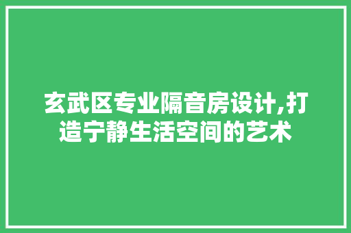 玄武区专业隔音房设计,打造宁静生活空间的艺术