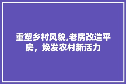 重塑乡村风貌,老房改造平房，焕发农村新活力