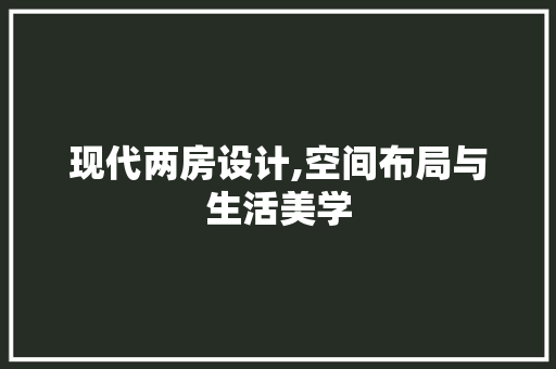 现代两房设计,空间布局与生活美学
