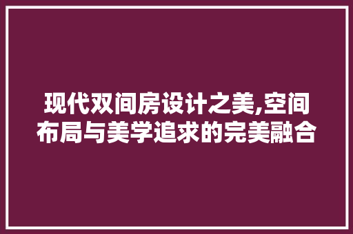 现代双间房设计之美,空间布局与美学追求的完美融合