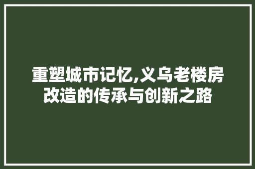 重塑城市记忆,义乌老楼房改造的传承与创新之路