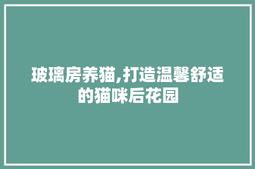 玻璃房养猫,打造温馨舒适的猫咪后花园