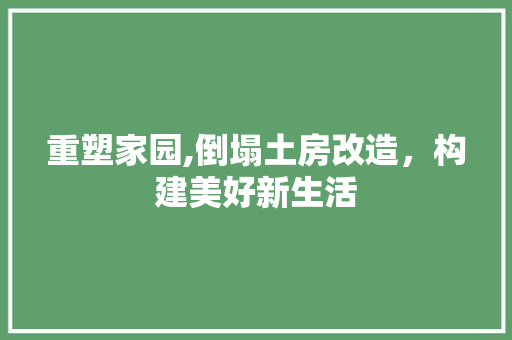 重塑家园,倒塌土房改造，构建美好新生活