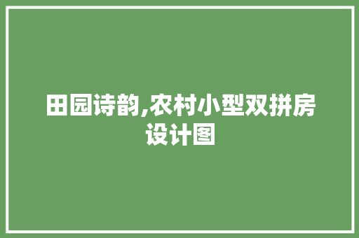 田园诗韵,农村小型双拼房设计图