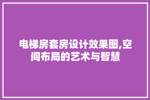 电梯房套房设计效果图,空间布局的艺术与智慧