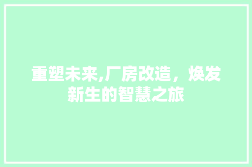重塑未来,厂房改造，焕发新生的智慧之旅
