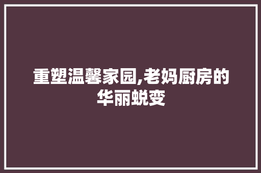 重塑温馨家园,老妈厨房的华丽蜕变