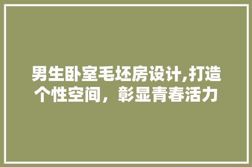 男生卧室毛坯房设计,打造个性空间，彰显青春活力