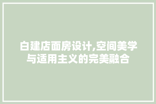 白建店面房设计,空间美学与适用主义的完美融合