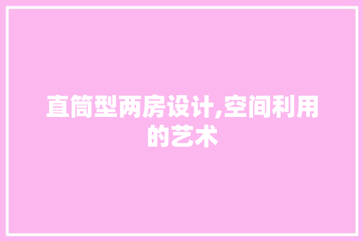 直筒型两房设计,空间利用的艺术