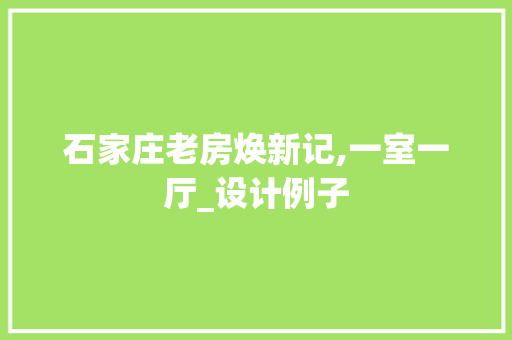 石家庄老房焕新记,一室一厅_设计例子