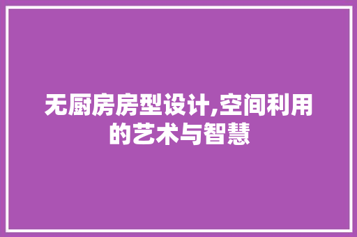 无厨房房型设计,空间利用的艺术与智慧