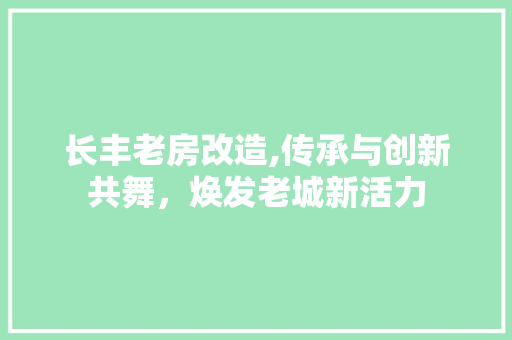 长丰老房改造,传承与创新共舞，焕发老城新活力