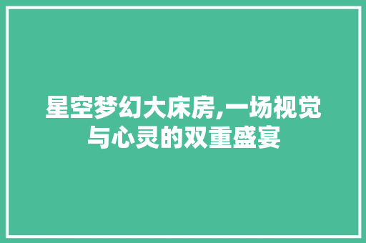 星空梦幻大床房,一场视觉与心灵的双重盛宴