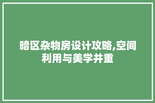 暗区杂物房设计攻略,空间利用与美学并重
