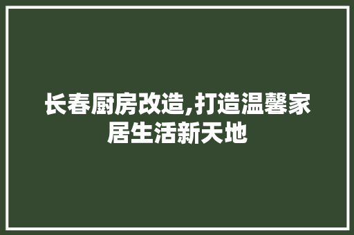 长春厨房改造,打造温馨家居生活新天地