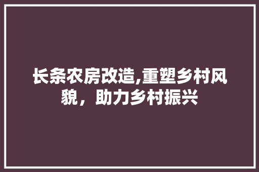 长条农房改造,重塑乡村风貌，助力乡村振兴