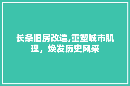 长条旧房改造,重塑城市肌理，焕发历史风采