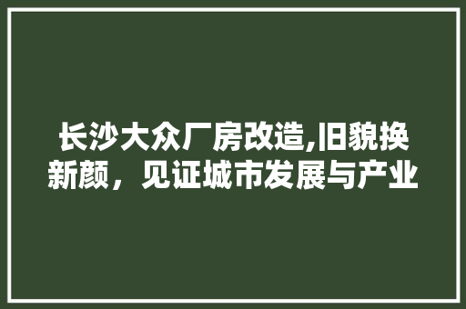 长沙大众厂房改造,旧貌换新颜，见证城市发展与产业升级