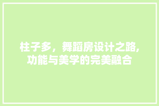 柱子多，舞蹈房设计之路,功能与美学的完美融合