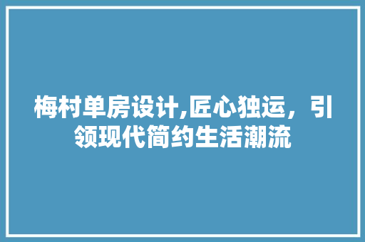 梅村单房设计,匠心独运，引领现代简约生活潮流
