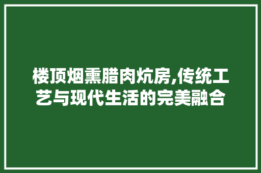 楼顶烟熏腊肉炕房,传统工艺与现代生活的完美融合