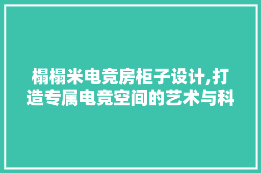 榻榻米电竞房柜子设计,打造专属电竞空间的艺术与科学