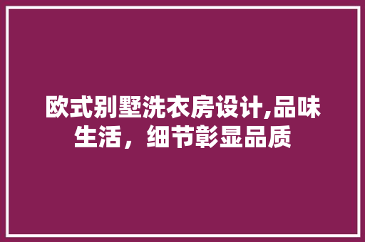 欧式别墅洗衣房设计,品味生活，细节彰显品质