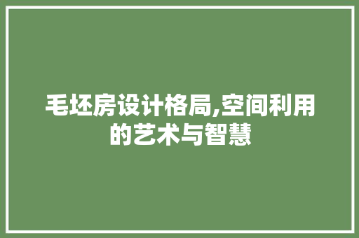 毛坯房设计格局,空间利用的艺术与智慧