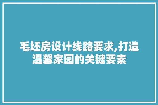 毛坯房设计线路要求,打造温馨家园的关键要素