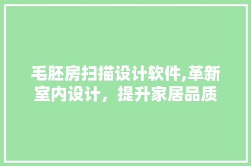 毛胚房扫描设计软件,革新室内设计，提升家居品质
