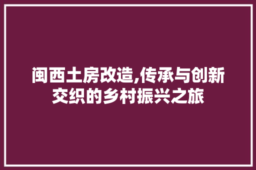 闽西土房改造,传承与创新交织的乡村振兴之旅