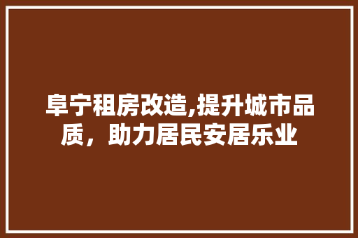 阜宁租房改造,提升城市品质，助力居民安居乐业