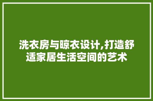洗衣房与晾衣设计,打造舒适家居生活空间的艺术