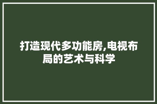 打造现代多功能房,电视布局的艺术与科学