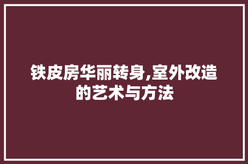 铁皮房华丽转身,室外改造的艺术与方法