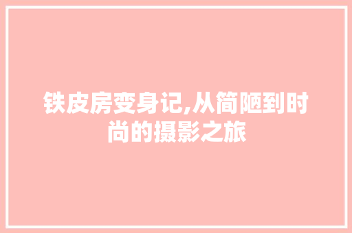 铁皮房变身记,从简陋到时尚的摄影之旅
