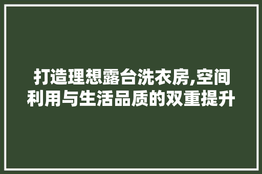 打造理想露台洗衣房,空间利用与生活品质的双重提升