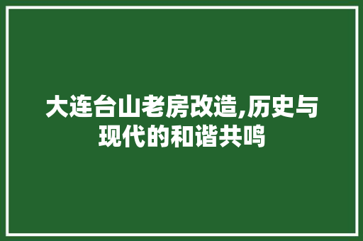 大连台山老房改造,历史与现代的和谐共鸣
