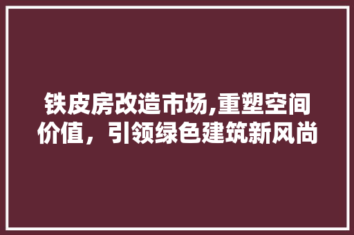 铁皮房改造市场,重塑空间价值，引领绿色建筑新风尚