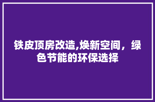 铁皮顶房改造,焕新空间，绿色节能的环保选择