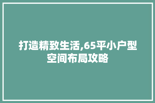 打造精致生活,65平小户型空间布局攻略