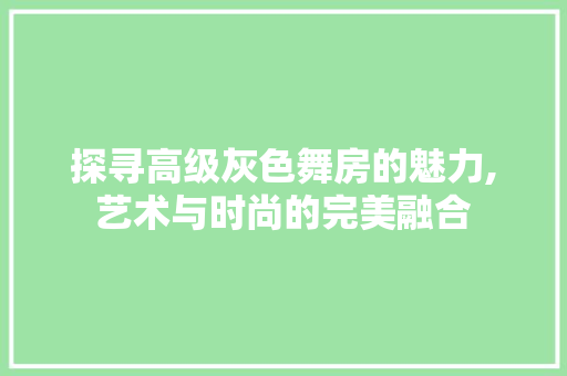 探寻高级灰色舞房的魅力,艺术与时尚的完美融合