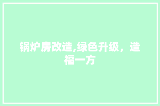 锅炉房改造,绿色升级，造福一方